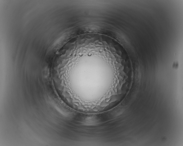 X0000115640173200911101524