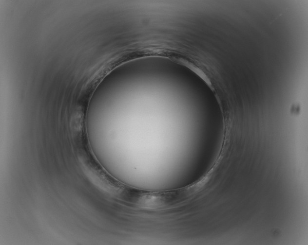 X0000115640174200911101524