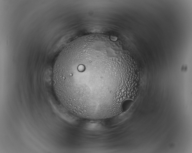 X0000115640175200911101524