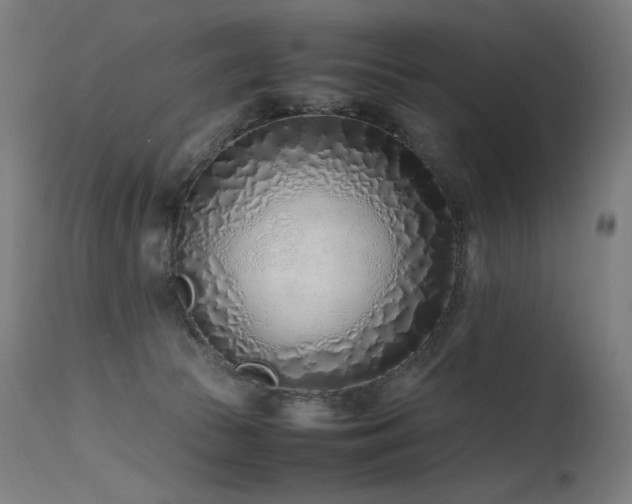 X0000115640177200911101524