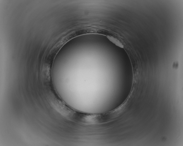 X0000115640178200911101524
