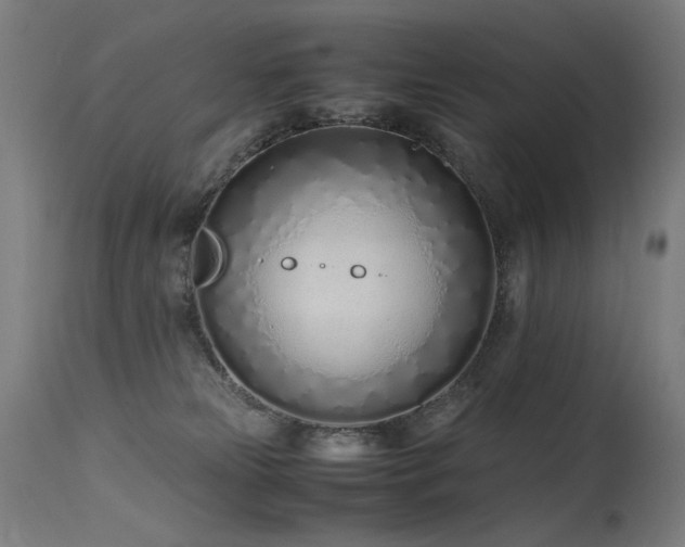 X0000115640181200911101524