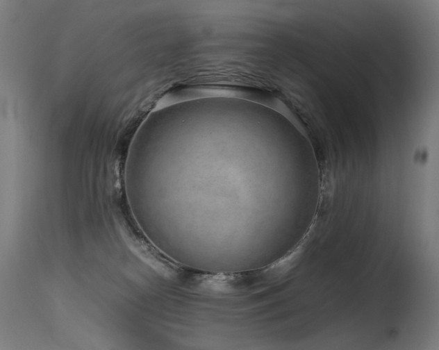 X0000115640182200911101524