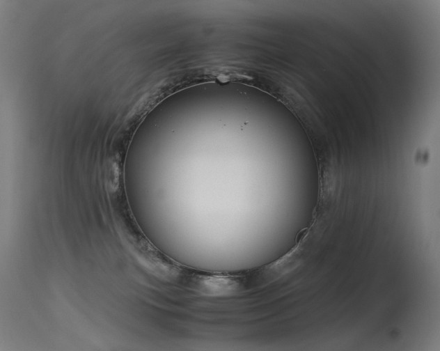 X0000115640183200911101524