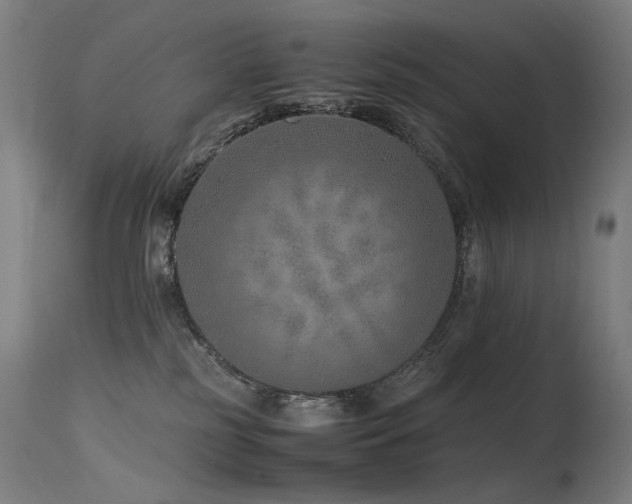 X0000115640185200911101524