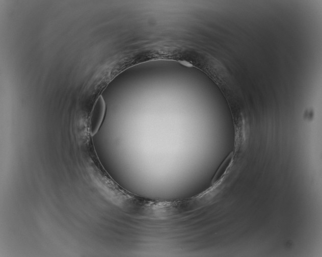X0000115640186200911101525