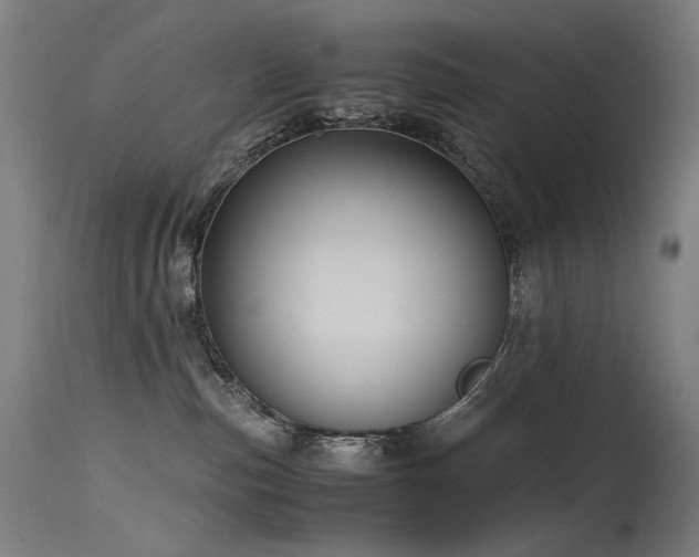 X0000115640187200911101525