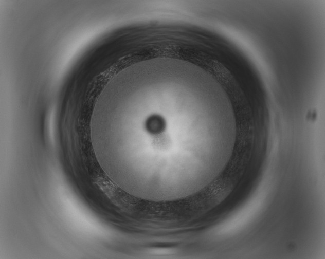 X0000115640189200911101525