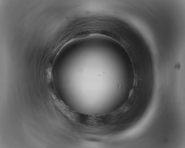 X0000115640190200911101525