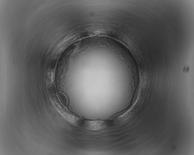 X0000115640191200911101525
