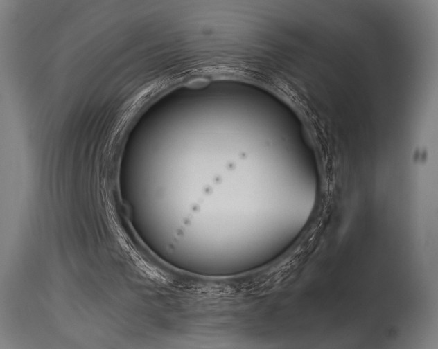 X0000115640193200911101524