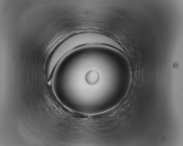 X0000115640194200911101524