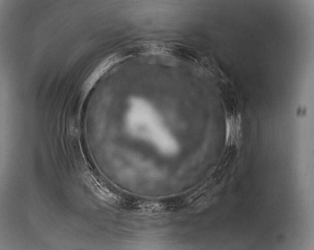 X0000115640195200911101524