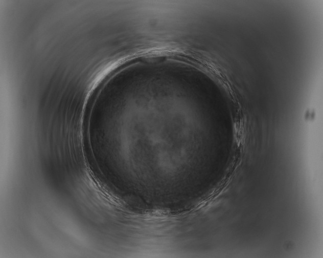 X0000115640196200911101524