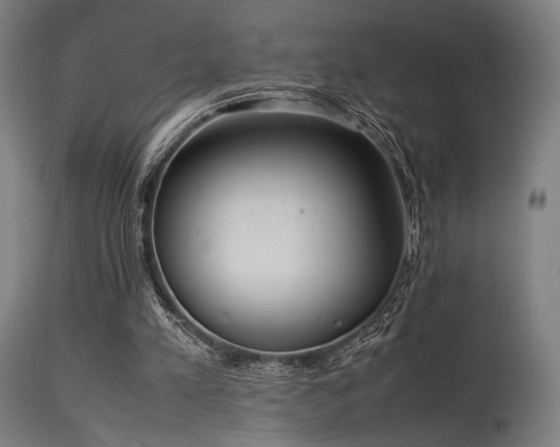 X0000115640197200911101524