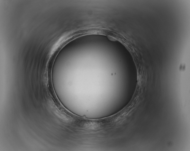 X0000115640198200911101524