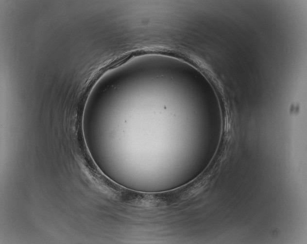 X0000115640201200911101524