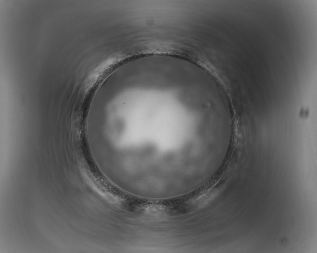 X0000115640203200911101524