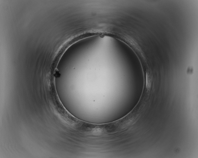 X0000115640204200911101524