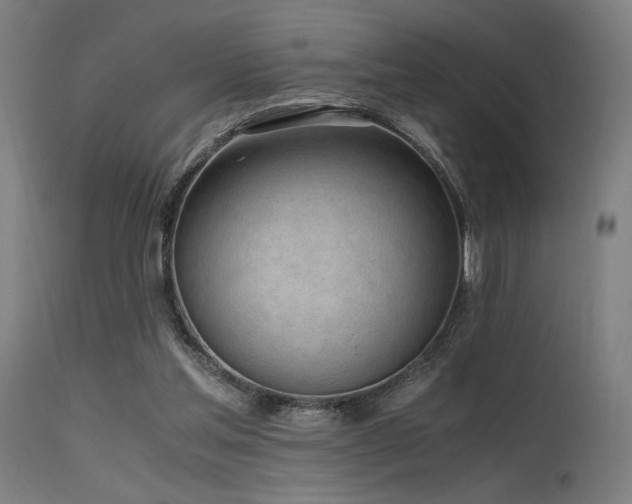 X0000115640205200911101524