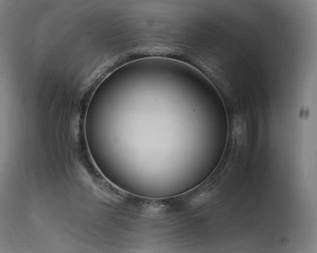 X0000115640206200911101524