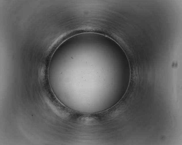 X0000115640208200911101524