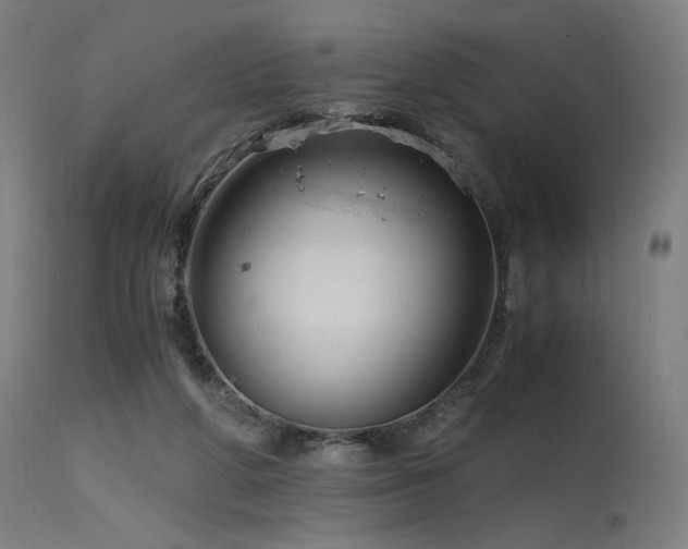X0000115640210200911101524
