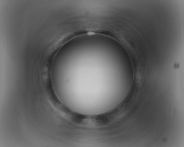X0000115640211200911101524