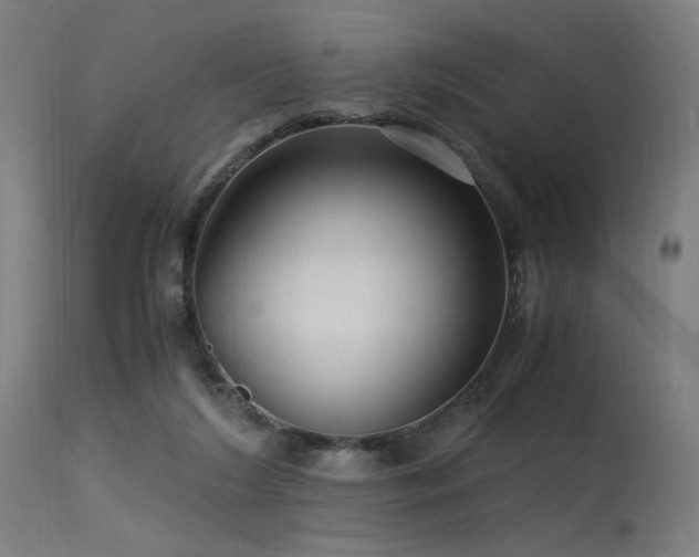 X0000115640212200911101524