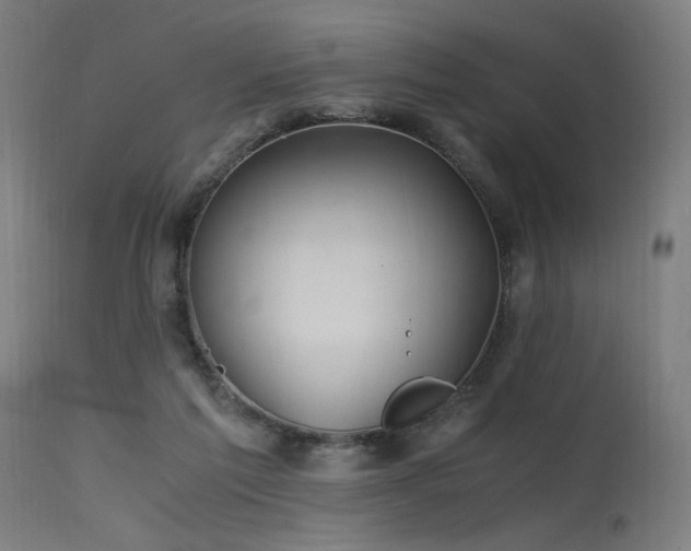 X0000115640213200911101523