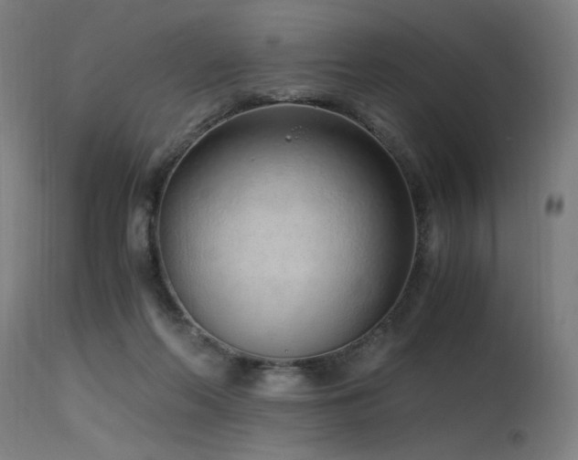 X0000115640214200911101523