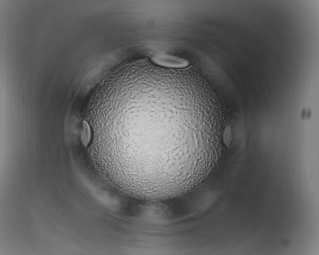 X0000115640215200911101523