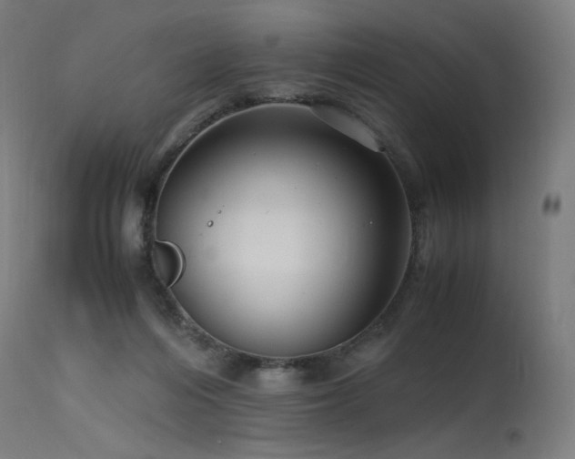X0000115640216200911101523