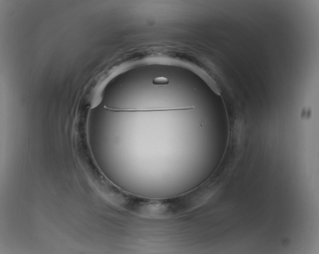 X0000115640217200911101523