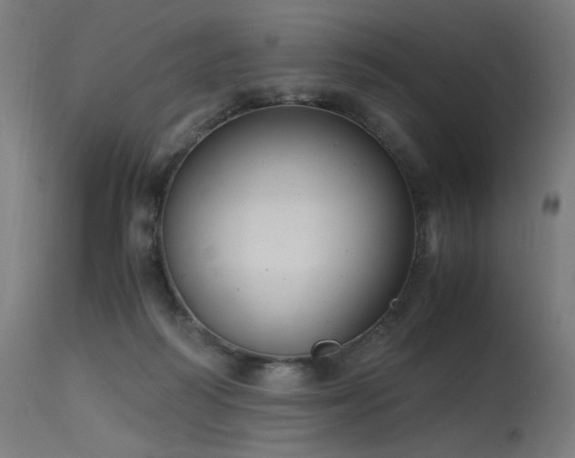 X0000115640218200911101523
