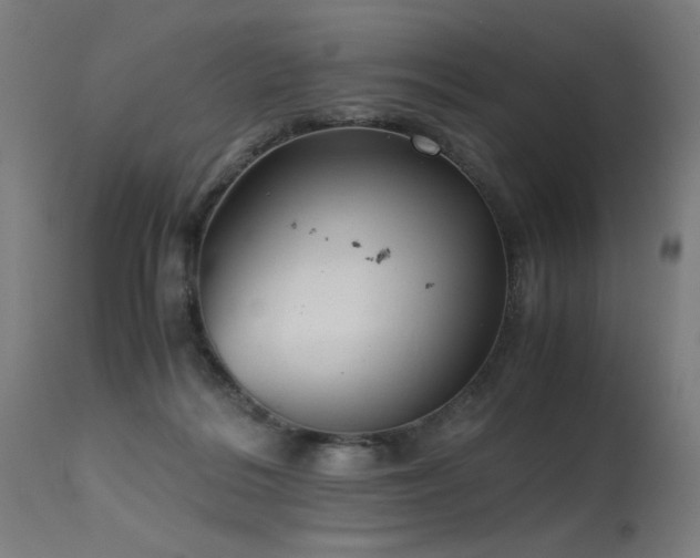X0000115640220200911101523