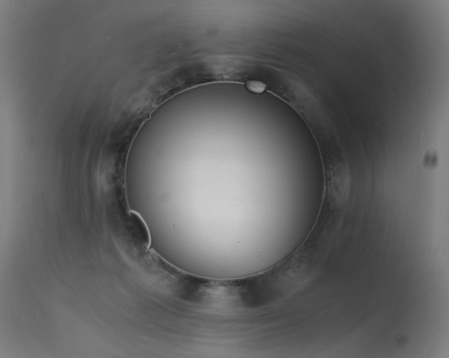 X0000115640221200911101523