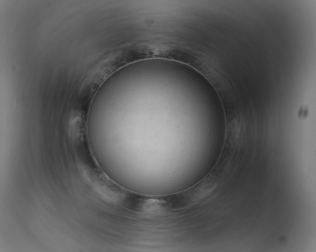 X0000115640222200911101523