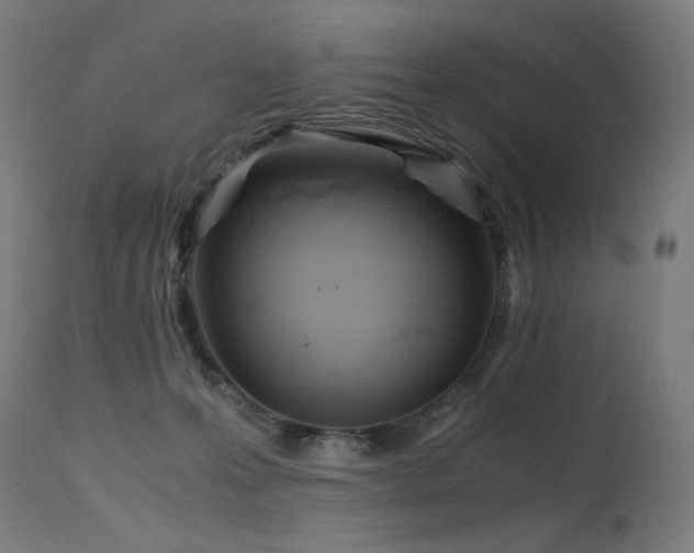 X0000115640223200911101523