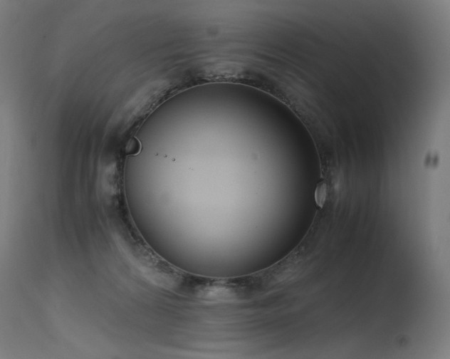 X0000115640224200911101523
