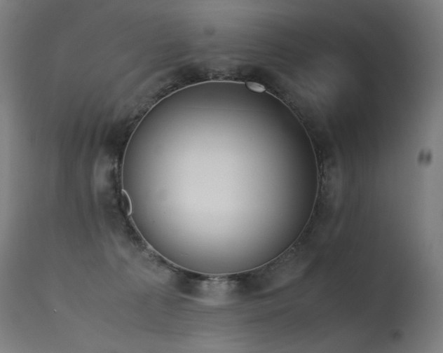 X0000115640225200911101523