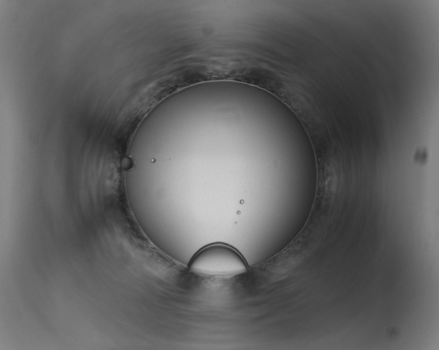 X0000115640226200911101523