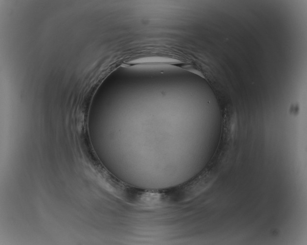 X0000115640227200911101523