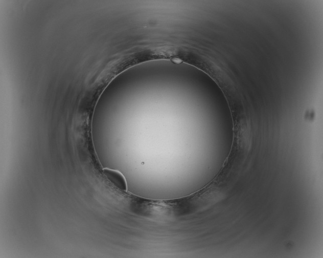 X0000115640229200911101523