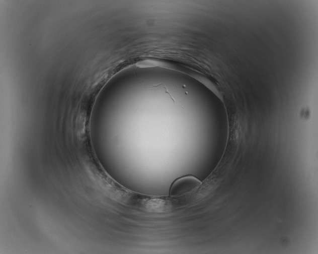 X0000115640230200911101523