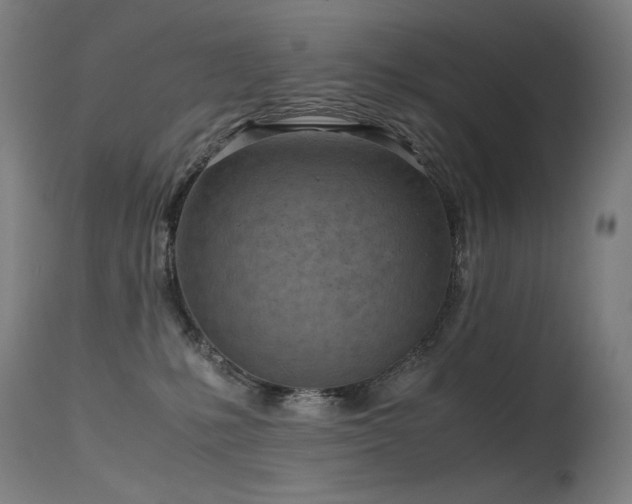 X0000115640231200911101523