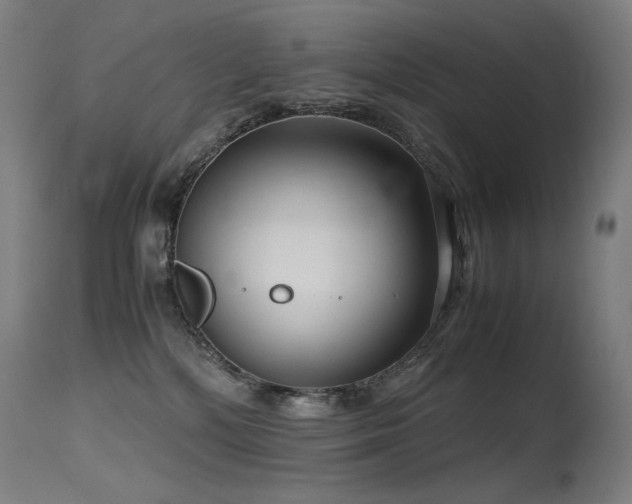 X0000115640232200911101523