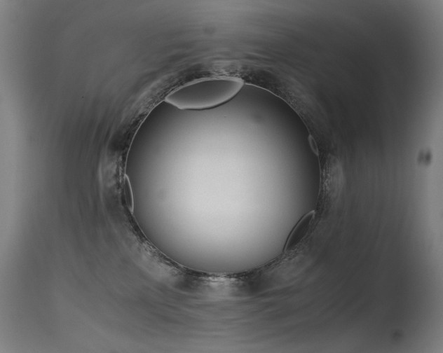 X0000115640233200911101523