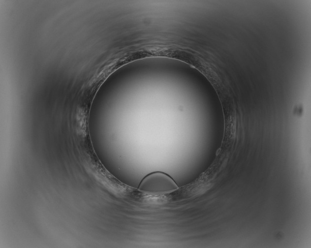 X0000115640234200911101523