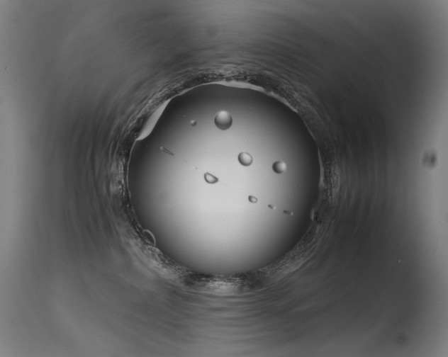 X0000115640236200911101523